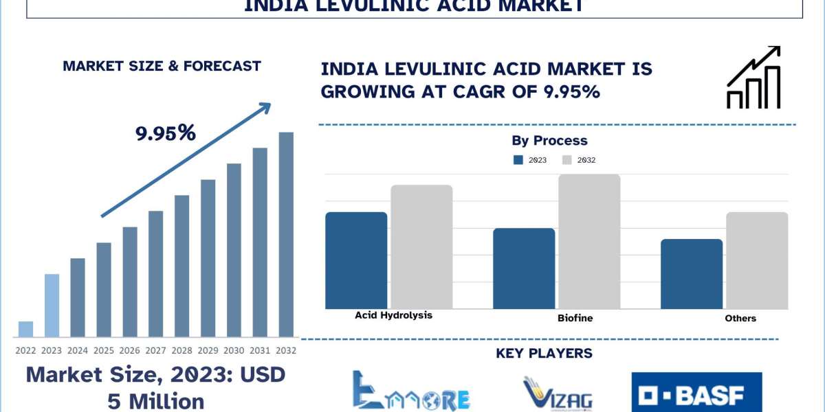 India Levulinic Acid Market Analysis by Size, Share, Growth, Trends, Opportunities and Forecast (2024-2032) | UnivDatos