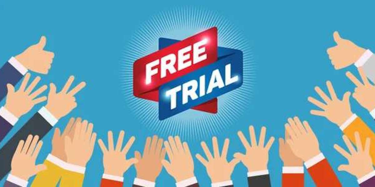 Free Seo Service Trial Is Essential For Your Success. Read This To Find Out Why