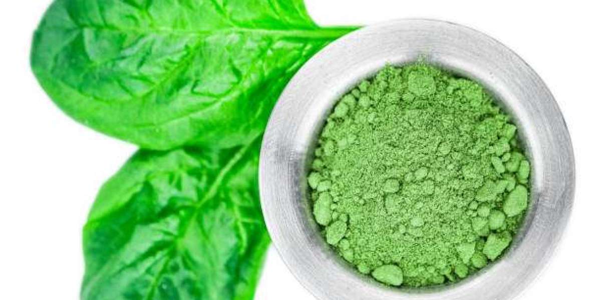 Why Spinach Powder is a Must-Have in Your Diet