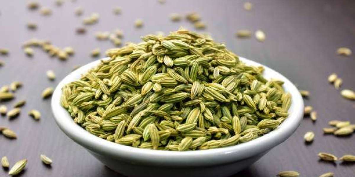 Unlocking the Power of Fennel: Benefits, Uses & More