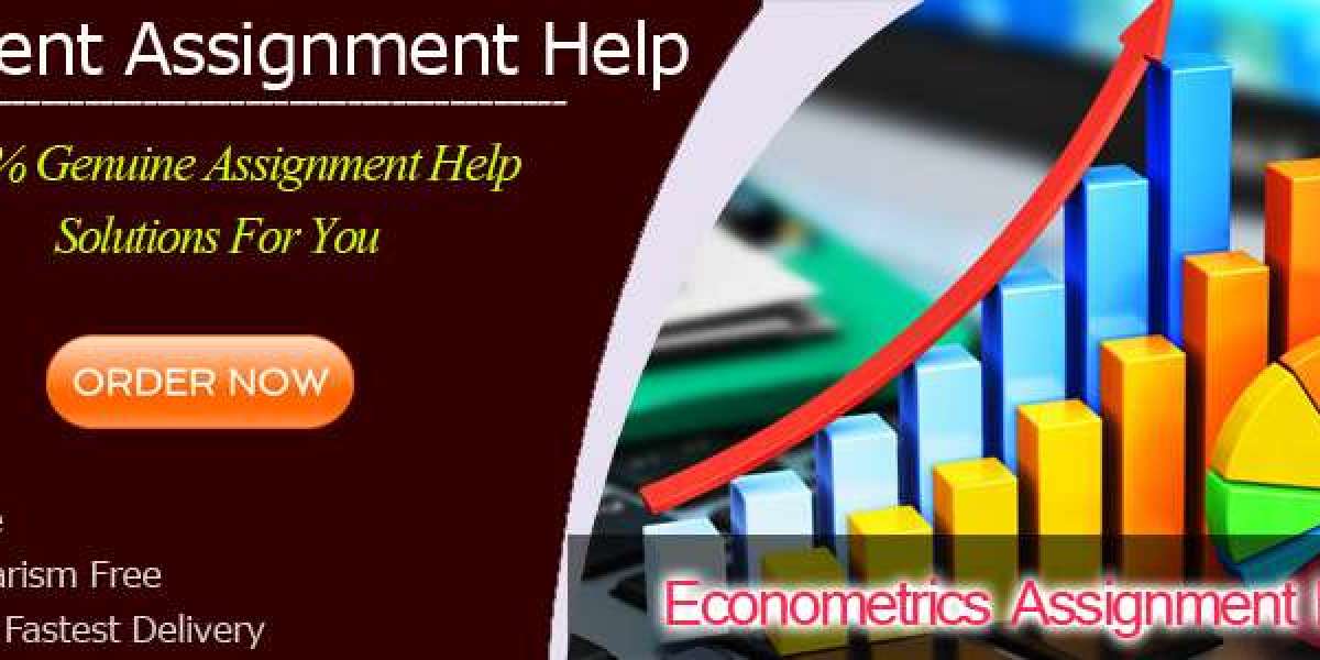 How Do I Choose the Best Econometrics Assignment Service?