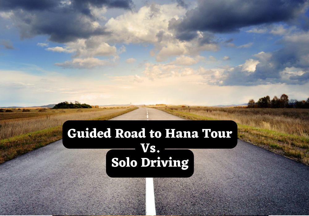 Pro Navigation: Why Guided Road to Hana Tour Beats Solo Driving