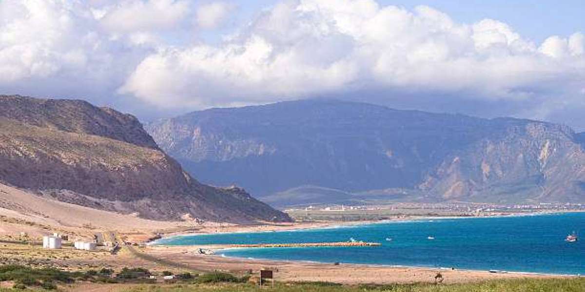 Socotra Trips – Explore the Island with Socotra Pioneer Tours