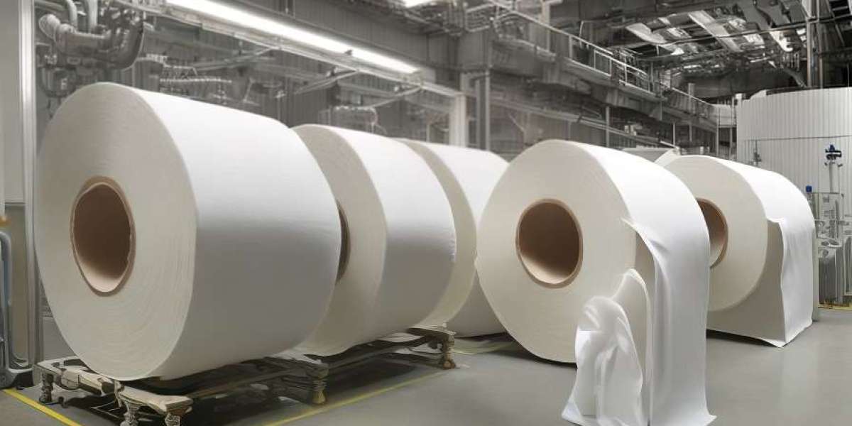 Toilet Paper Manufacturing Plant Setup : Detailed Project Report 2025 by IMARC Group