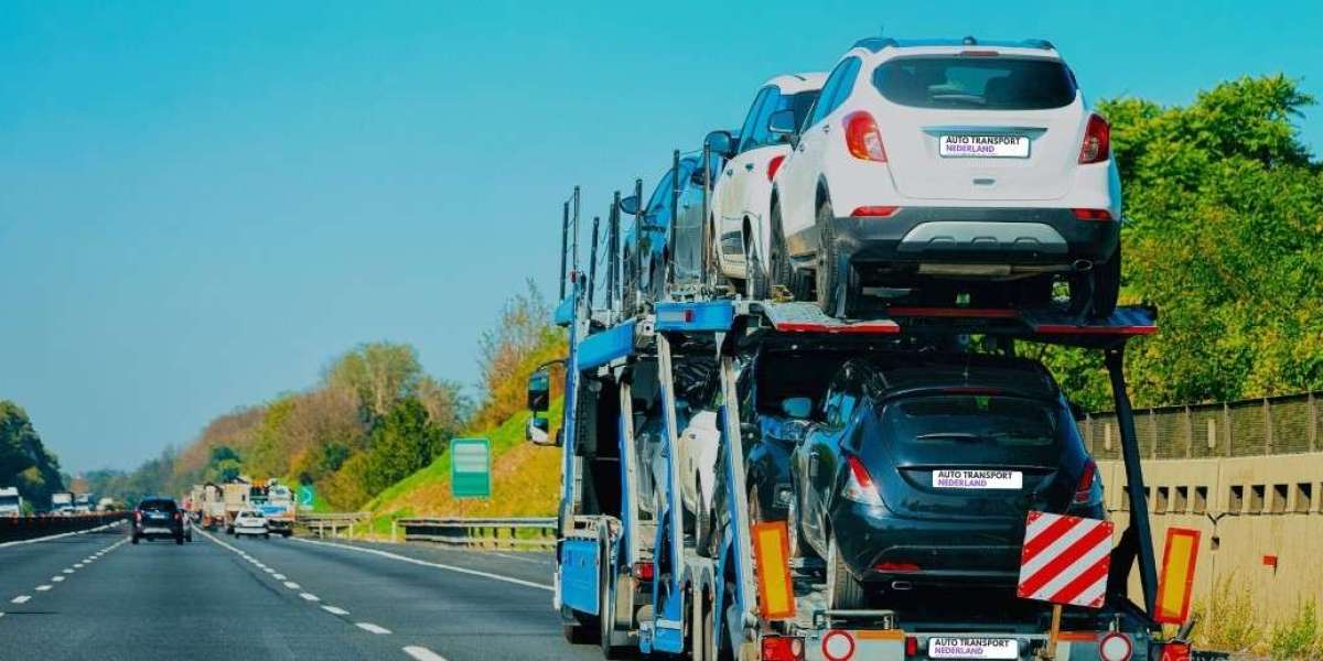 Professionelles Autotransport-Unternehmen: Deutschland, Belgien und Europa