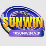 SUNWIN observer