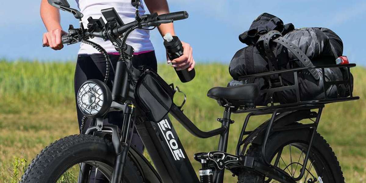 EcoE's 5000W Electric Bike: The Ultimate Choice for Adventure Seekers