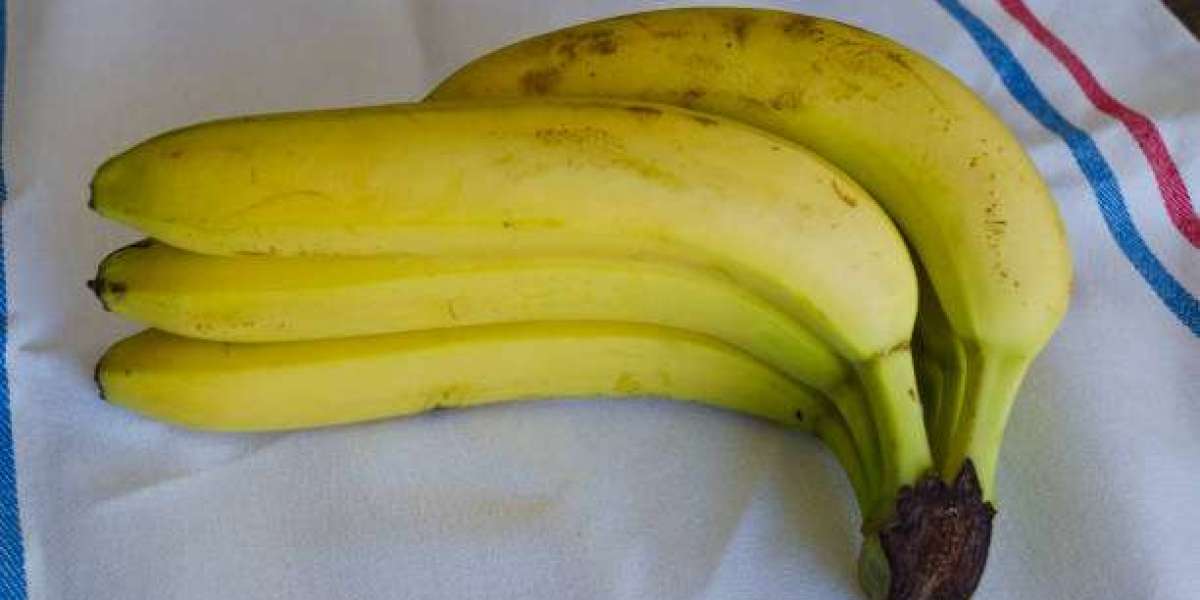 G9 Cavendish Bananas: Perfect for Health, Taste, and Energy