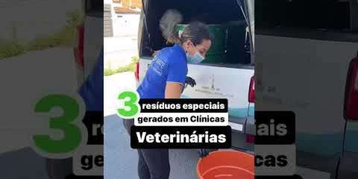 Cuide do Melhor Amigo: A Importância do Check-up Preventivo para Cães e Gatos