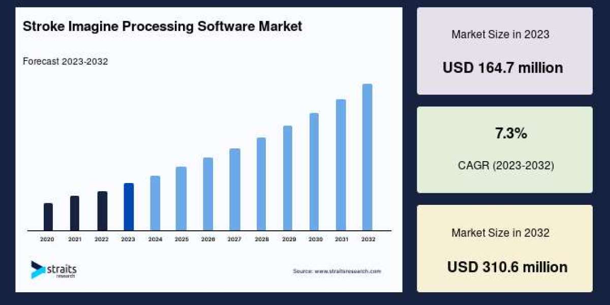 Stroke Imaging Processing Software Market: Growth Projections, Key Trends, and Opportunities by 2032