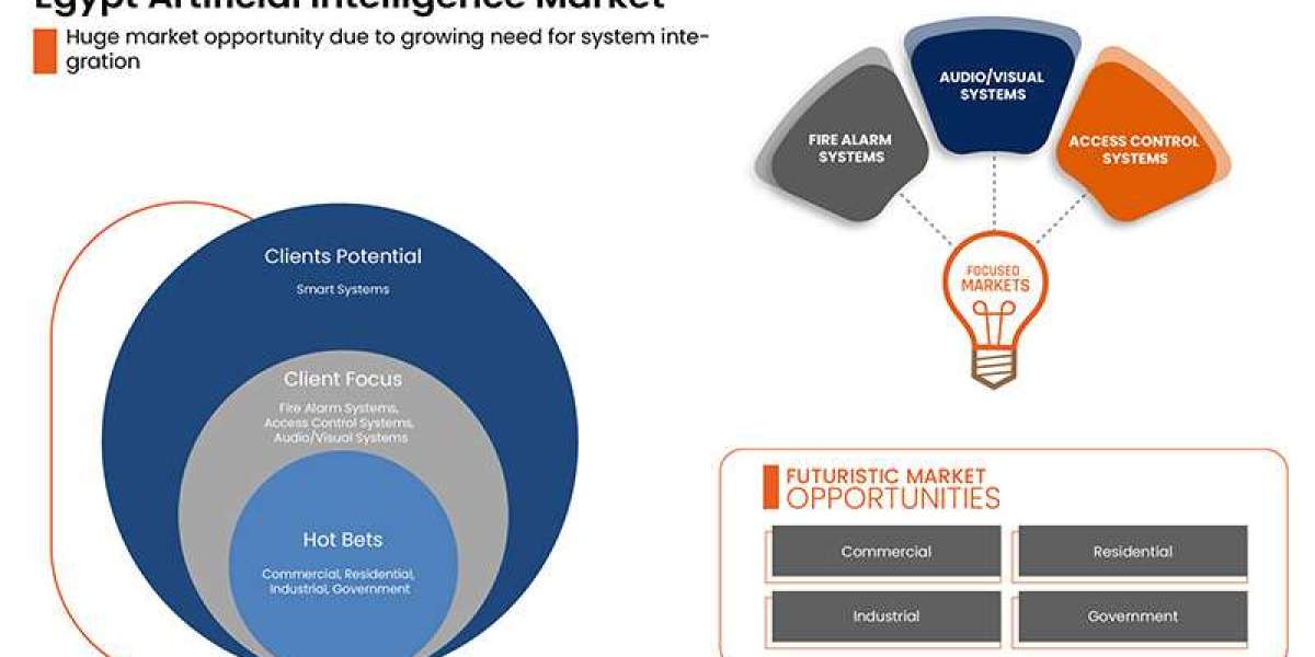 Egypt Artificial Intelligence Market at a CAGR of 13.4% during the forecast period