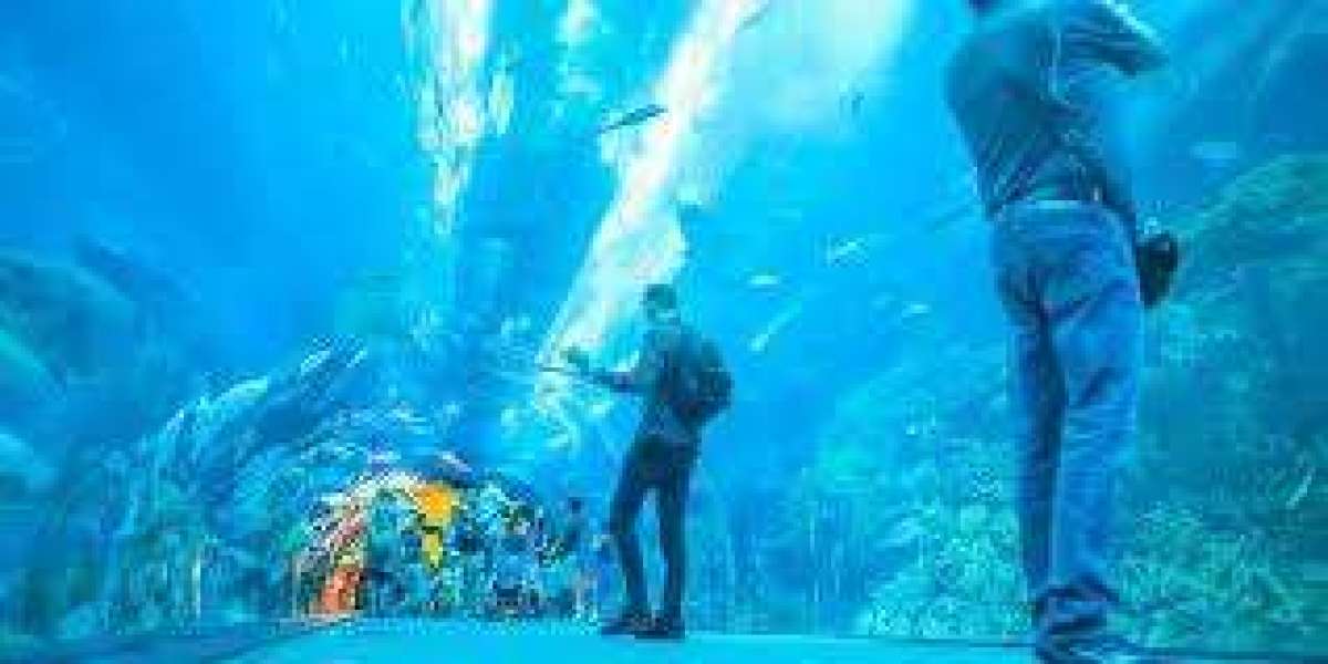 Dubai Aquarium & Underwater Zoo Tickets – Best Offers, Prices & Location