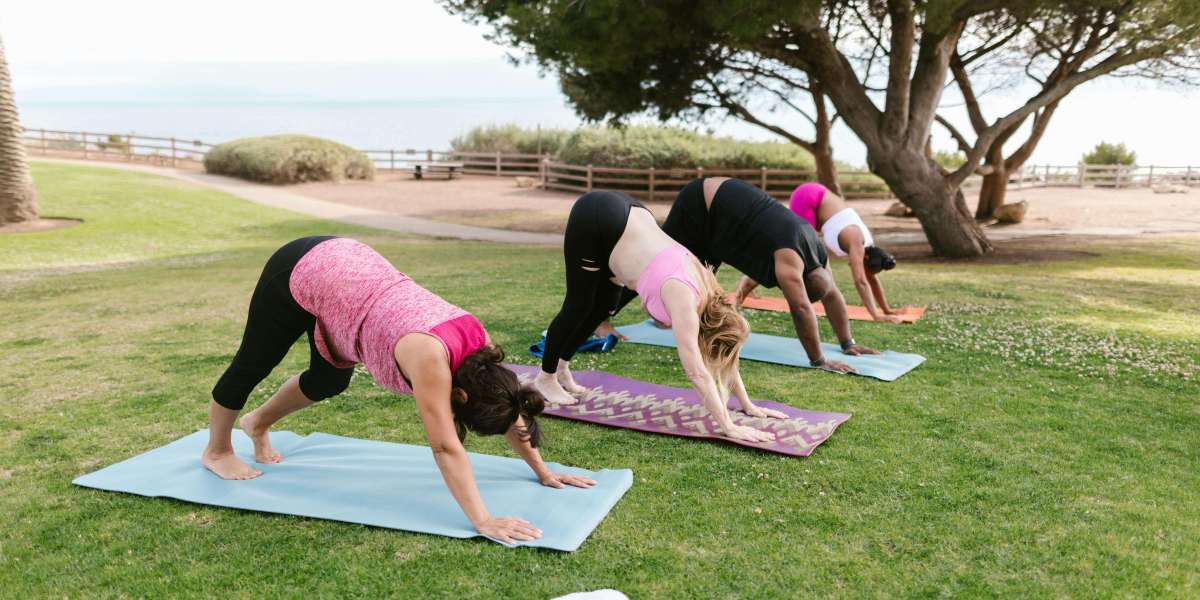 Yogalehrer Ausbildung 200h – VedaVerse Indien