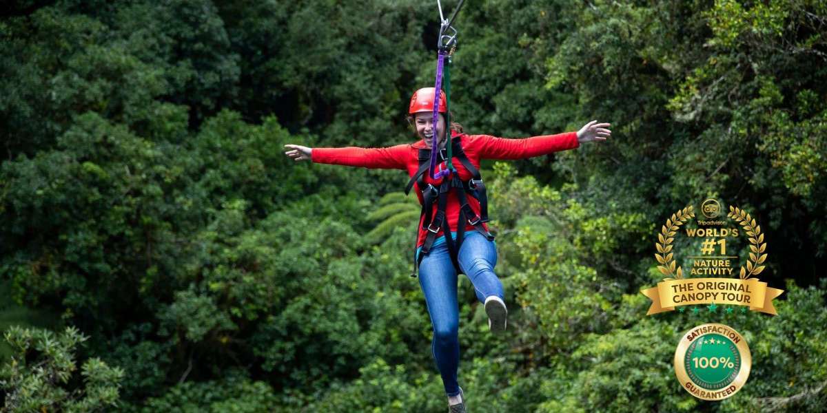 Why Rotorua Zipline Adventures Are a Must-Do for Nature Lovers