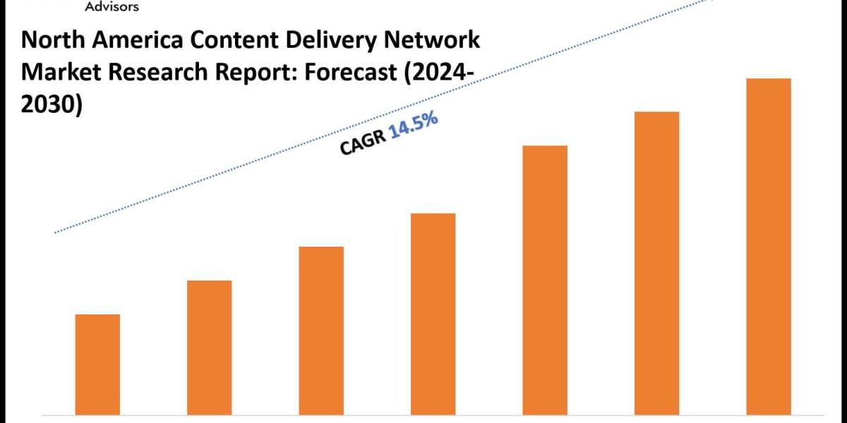 North America Content Delivery Network Market Insights, Share & Growth Trends 2024-30