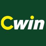 cwin05vnpro1