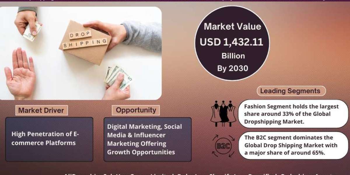Dropshipping Market Comprehensive Analysis and Forecast 2025-30