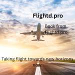 Flight d