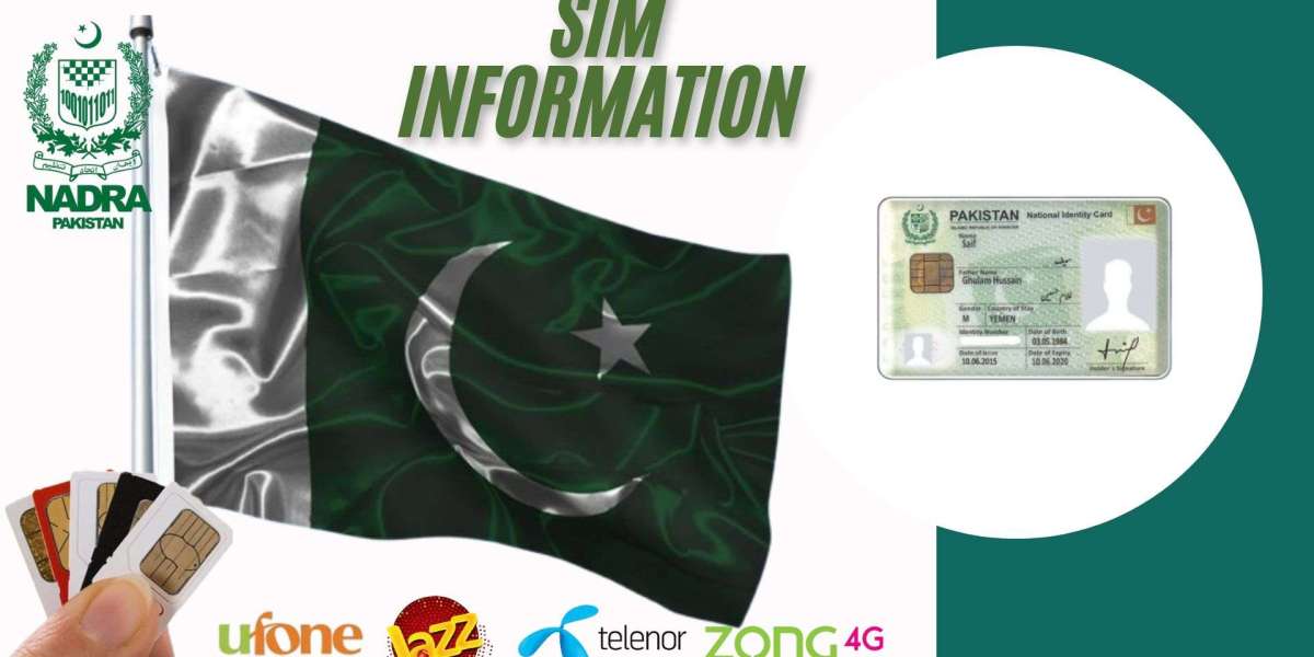 Everything You Need to Know About SIM Information Checking Tools