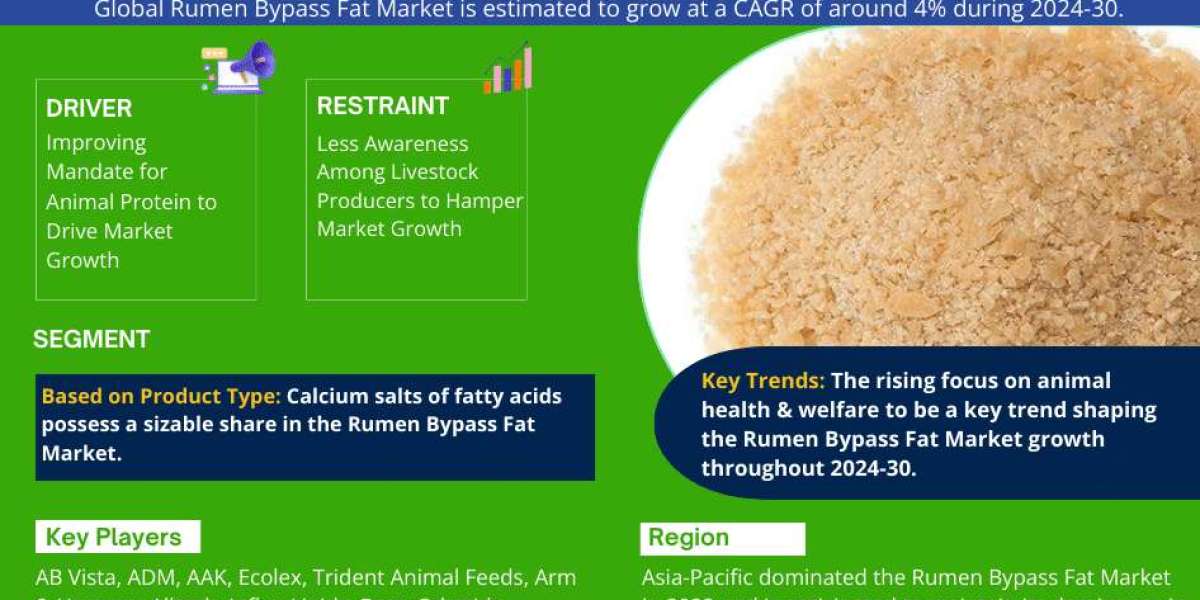 Rumen Bypass Fat Market is Projected to Grow at a CAGR of 4% from 2024-2030| MarkNtel Advisors