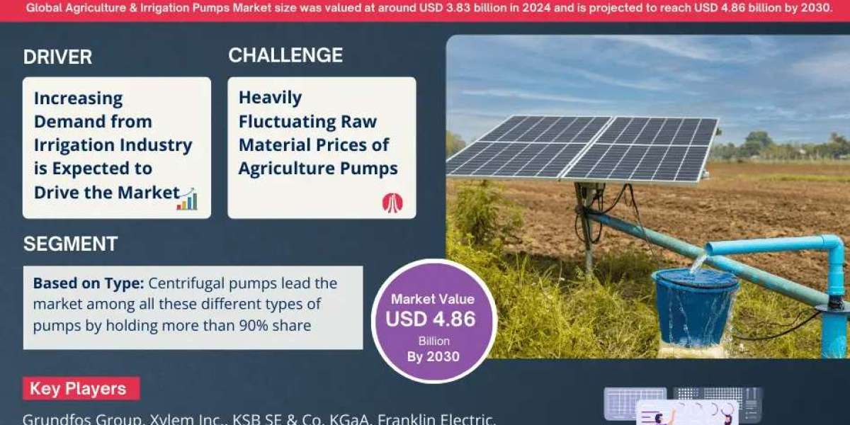 Agriculture & Irrigation Pumps Market Insights, Share & Growth Trends 2025-30