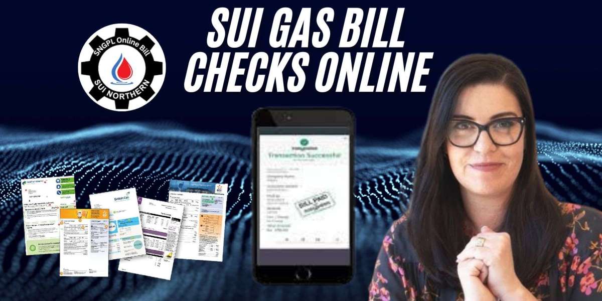 Simplifying SUI Gas Bill Checks Online: Tips for Pakistani Users