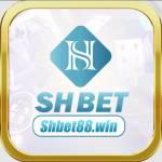 shbet88 win