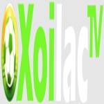 xoilactvnvzcc thao túng kết quả tìm kiếm