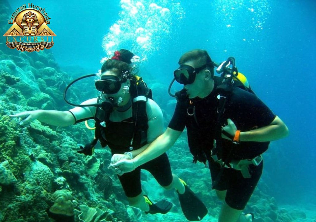 Recifurile de Corali - Excursii Hurghada