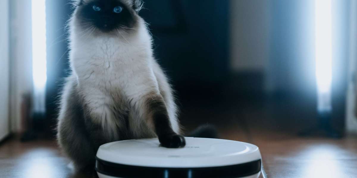 9 Lessons Your Parents Teach You About House Cleaning Robot