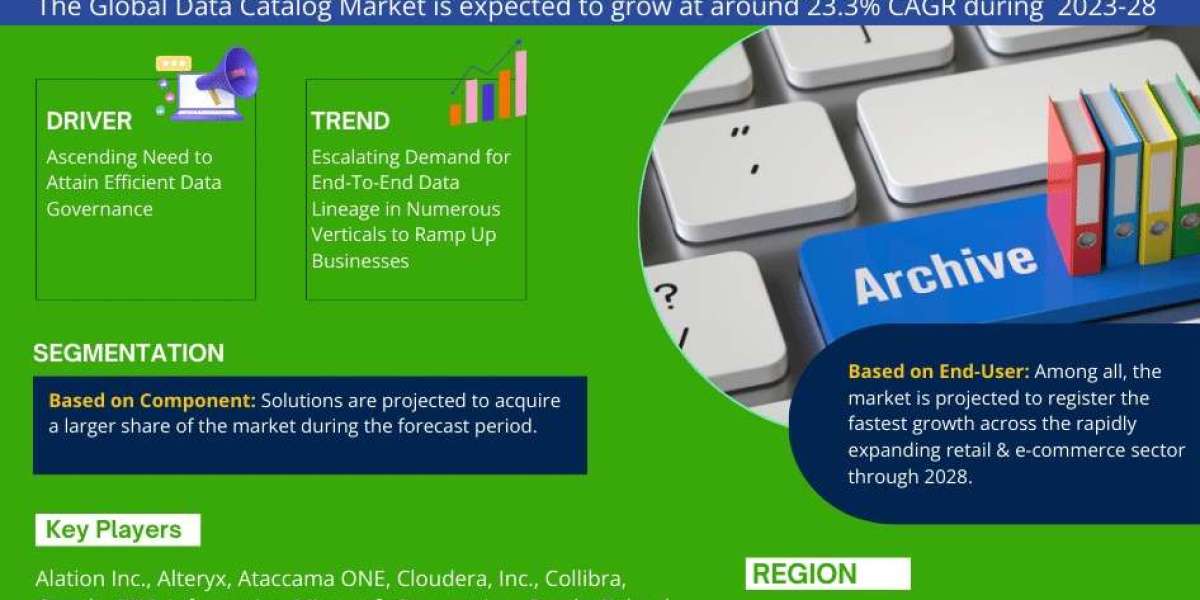 Data Catalog Market Value, Forecast, and Industry Overview 2028