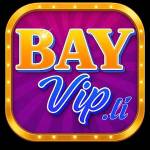 Bayvip Game bài đỉnh