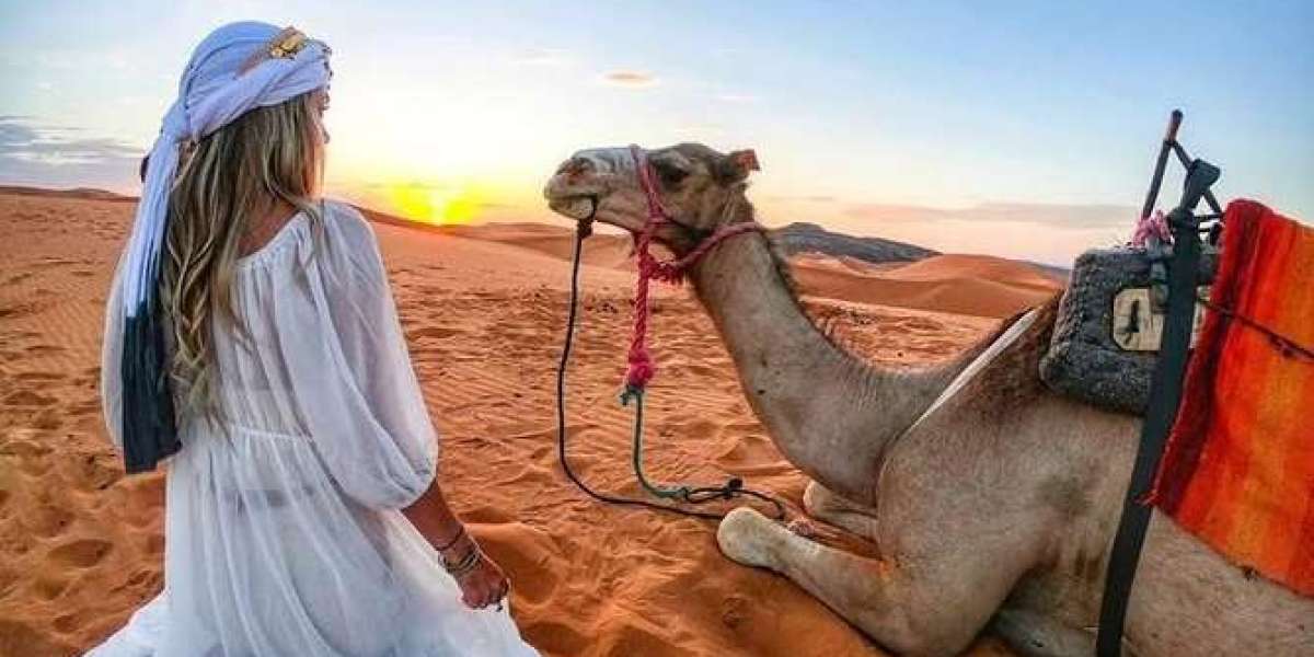 Exploring the Thrills of a Dubai Desert Safari