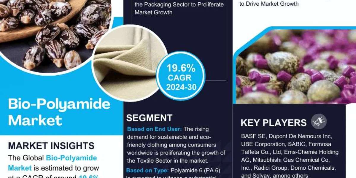 Bio-Polyamide Market Insights, Share & Growth Trends 2024-30