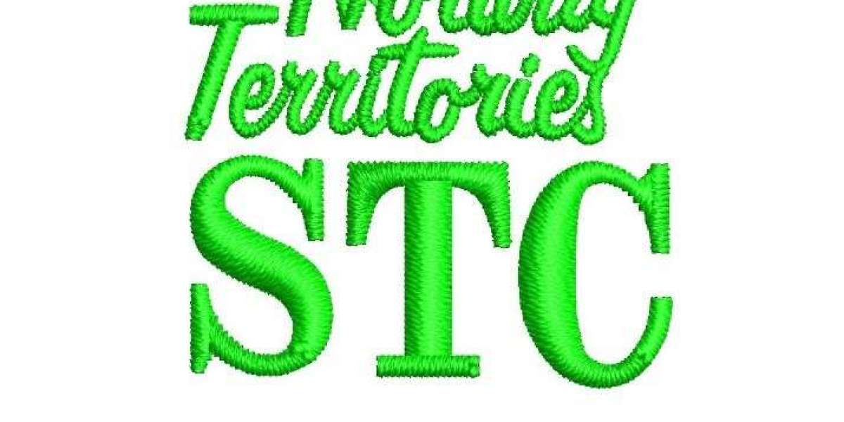 Professional Embroidery Digitizing Services with 100 Accuracy