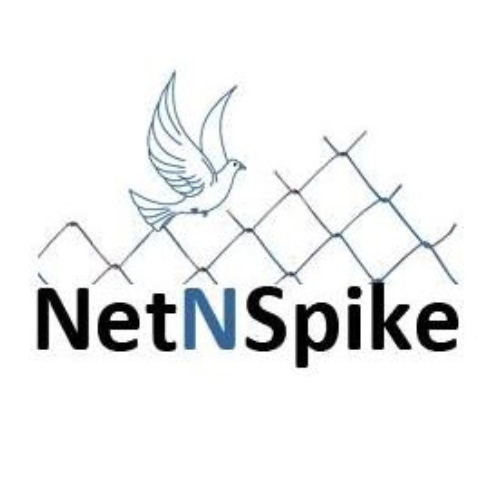 Bird Control Service Near Me – A Safe Solution from NetnSpike