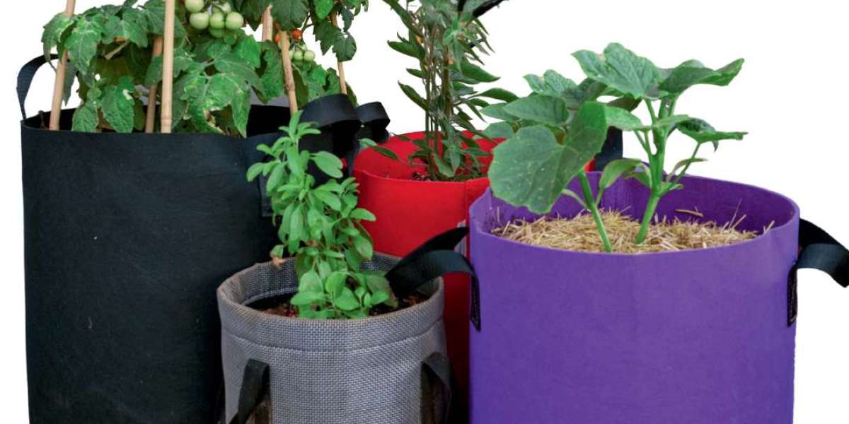 Unleash Your Green Thumb: The Power of Grow Bags