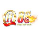 QH88beting net
