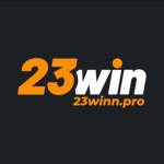 23winn pro