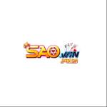 saowin