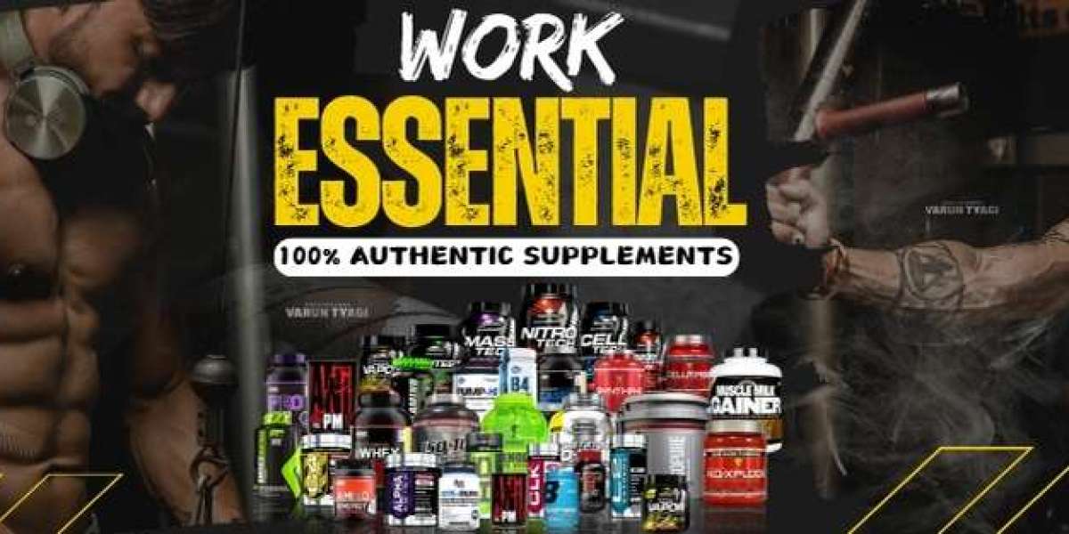 Best Ayurvedic Supplements for Holistic Health & Wellness
