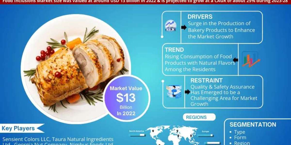 Food Inclusions Market Forecast: Demand, Value & Player Insights 2028