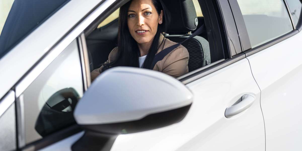 There Are A Few Reasons That People Can Succeed In The Buy A Driving Licence Industry