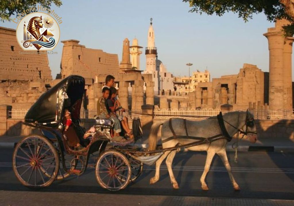 Mijloace de transport în Egiptul Antic - Calatorii Hurghada