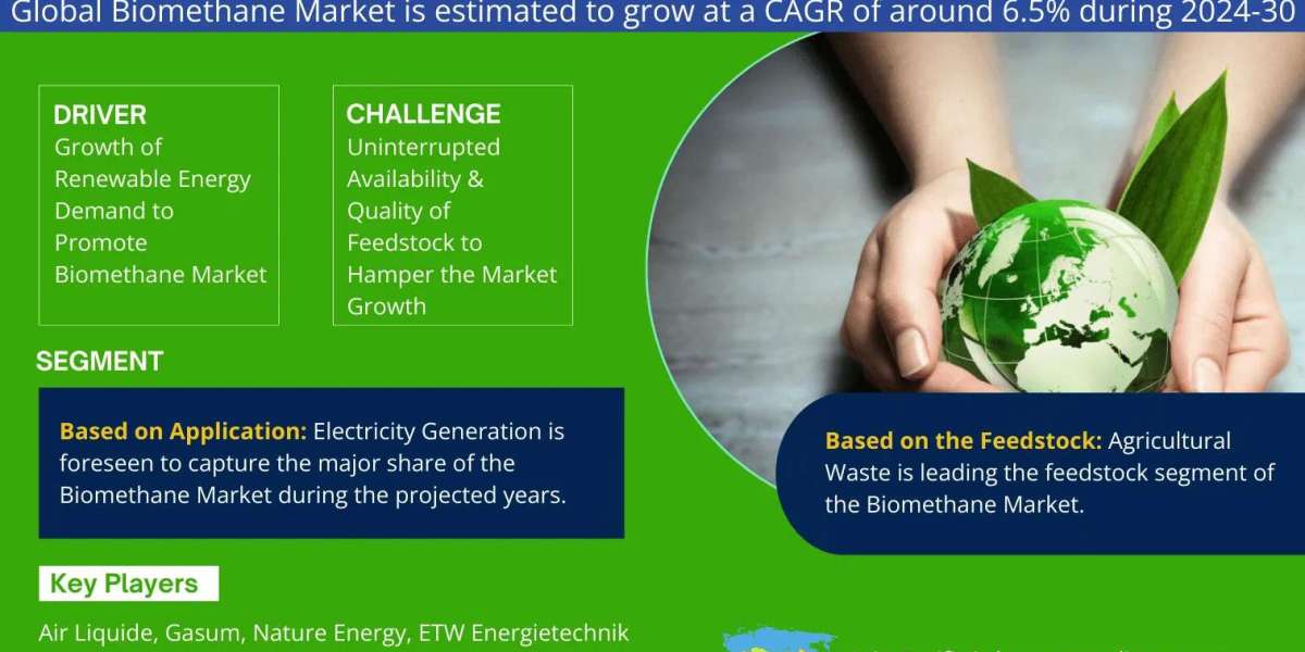 Biomethane Industry Analysis: Companies, Competitors & Outlook 2030