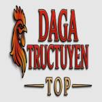 dagatructuyen top