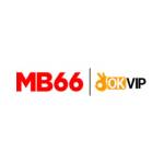 MB6699 Net