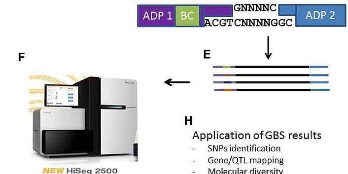 Genotyping by Sequencing: Principles, Protocols, and Applications