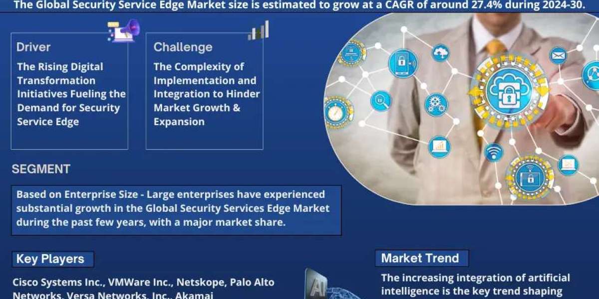 Security Service Edge Market Size, Share, Growth, and Forecast Analysis 2030