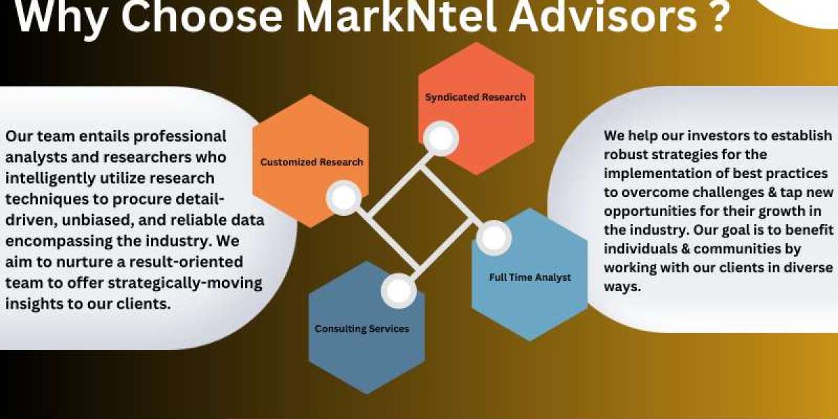 Argentina Tire Market Value, Forecast, and Industry Overview 2030